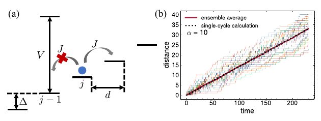 Measurement-and-feedback protocol for uphill quantum transport